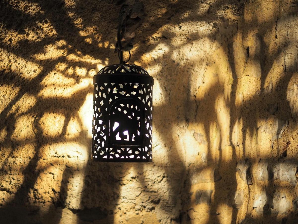 Chambres D'Hotes Le Secret Du Chat Cordes-sur-Ciel Zewnętrze zdjęcie